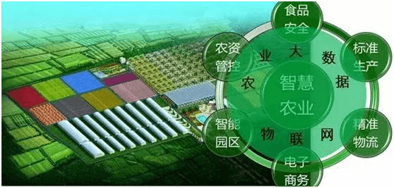 帶你走進(jìn)智慧農(nóng)業(yè)