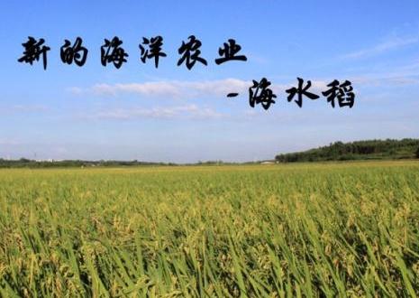 華為要種地了?。?！ ——智慧農(nóng)業(yè)