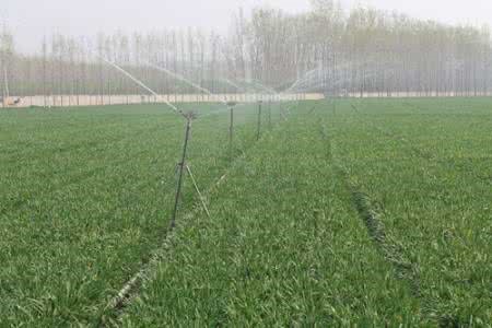 園林噴灌、滴灌、微噴